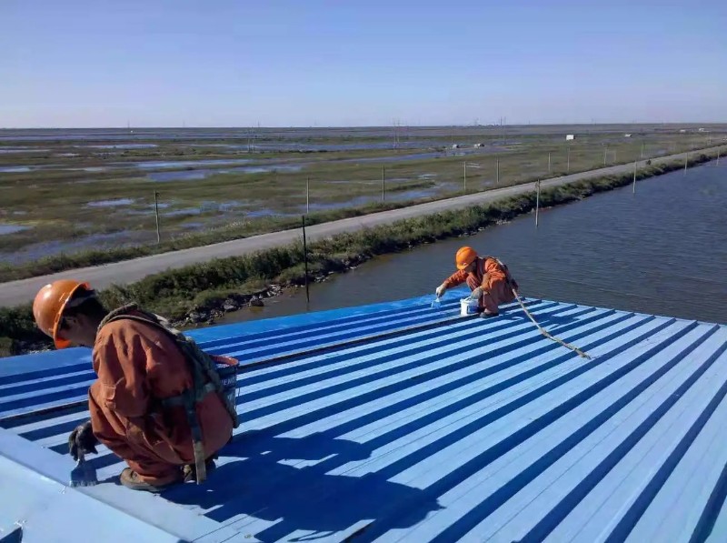 曾都钢结构屋面漏水原因